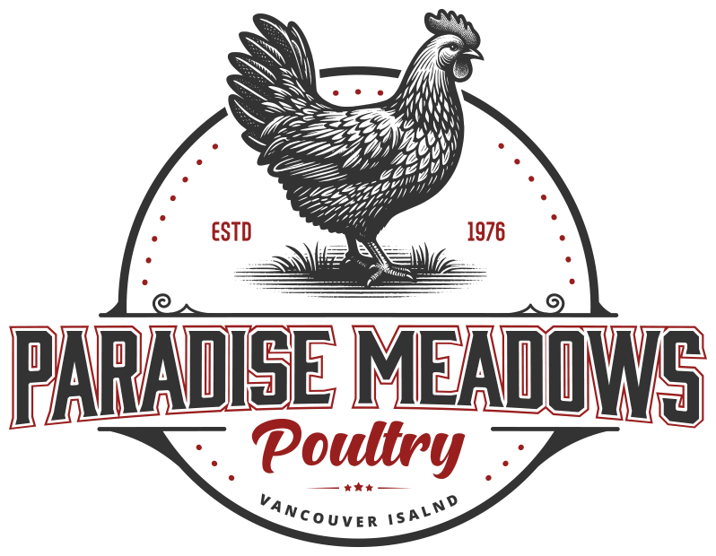 BRAND-Paradise-Meadows-Poultry-Chicken-Farm-Black-Creek-Vancouver-Island--36 copy