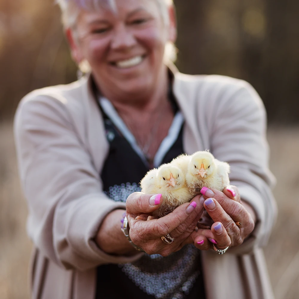 https://comoxgraphicdesign.com/wp-content/uploads/2026/02/SQUARE-Paradise-Meadows-Poultry-Chicken-Farm-Black-Creek-Vancouver-Island-16.webp